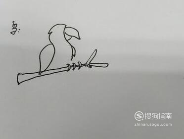 简笔画—站在树上的小鸟