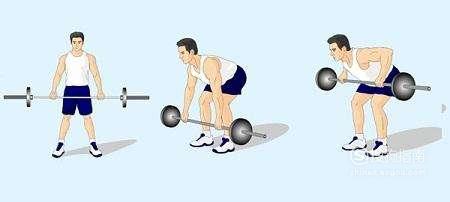 如何练好健身动作之背部肌肉动作（超详细版）