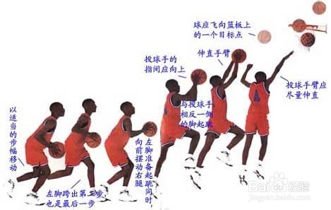 关于篮球投篮的几个技术动作分析