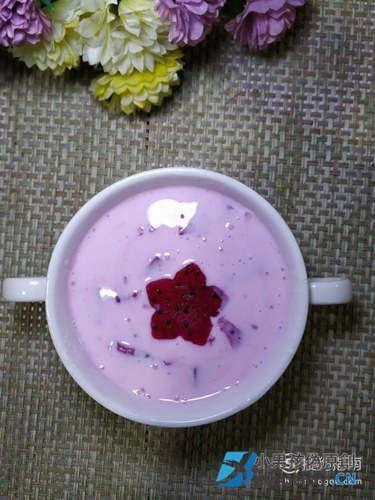 怎样自制美味的火龙果酸奶？