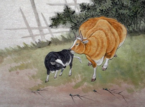 2015年李居明的羊年属于牛的运输