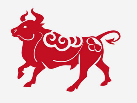 2021年做牛好不好？2021年的乳牛是什么时候出生的？