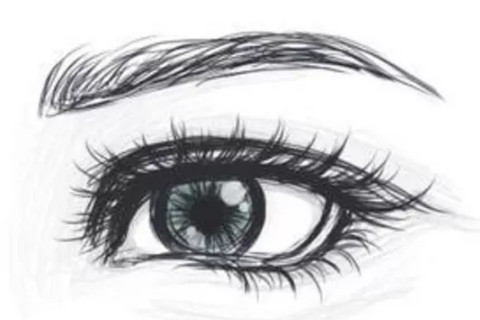 男人有钱什么样的眉毛