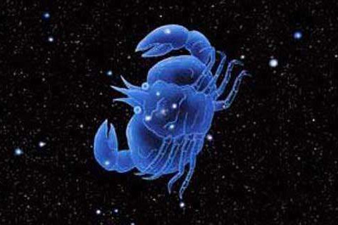 是2020年猪癌的运势