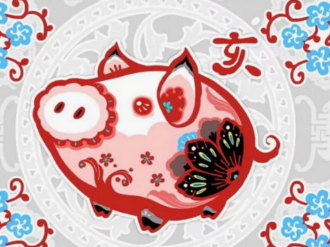 猪是什么时候出生的,最旺夫最有福