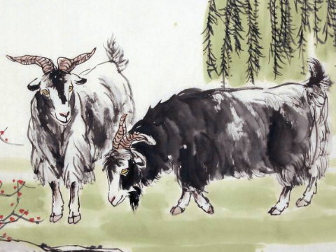 1991年和2021年羊的幸运色是什么