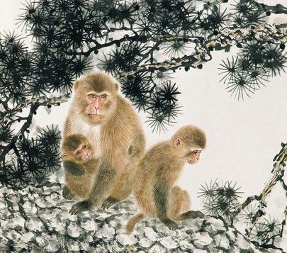 生肖猴配对百科