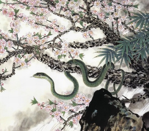 蛇年宝宝是什么时候出生的？