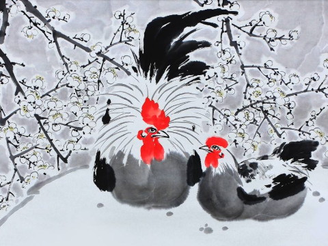 2021年1993年出生的鸡多大了