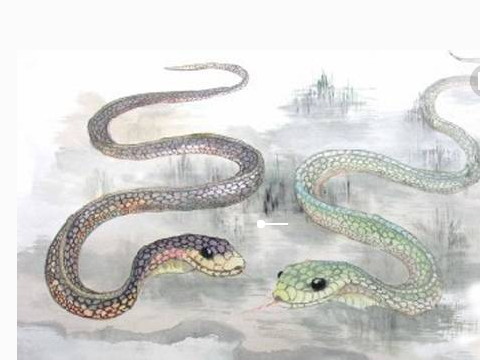 与蛇属相容的属