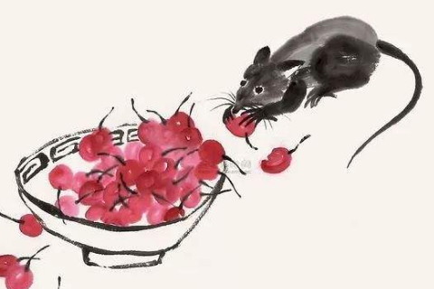 最有气场的生肖女