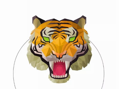 一个生在虎口的男孩，命运是否丑陋？