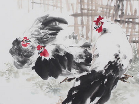 2021年1981鸡的幸运色是什么