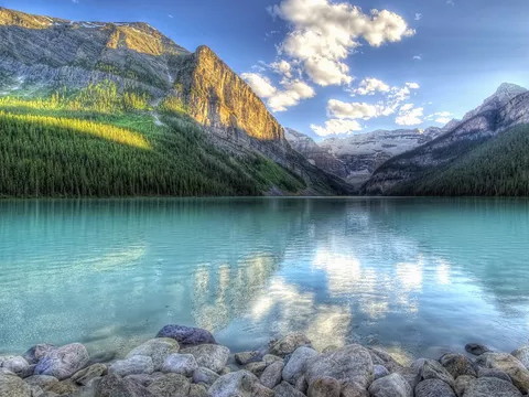 墙上的土和海水结婚吗？