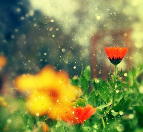 姓名与婚姻的关系