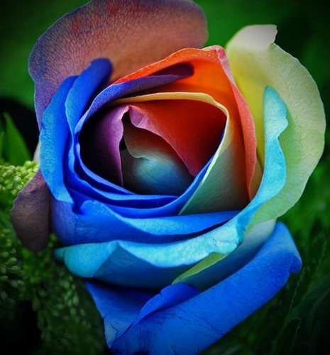 超级个性化的QQ群名称