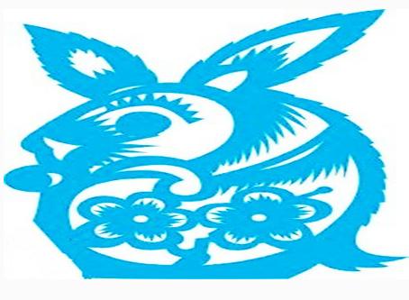 生肖兔速度匹配阶段