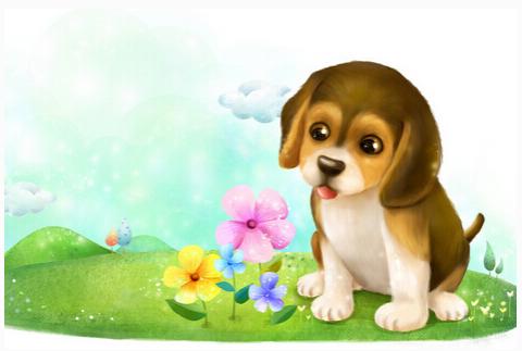 狗应该配什么标志