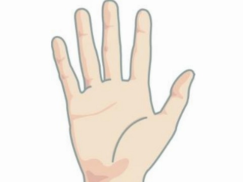 手相富贵命 什么样的手相是富贵命