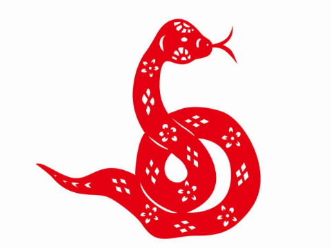 44岁以后蛇的命运是怎样的