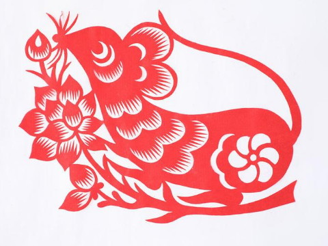 2020年出生的人是属什么 2020年鼠年五行属什么