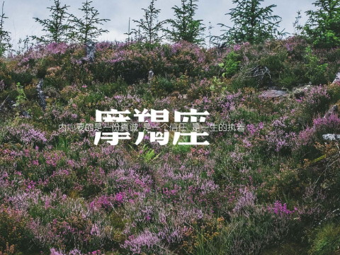 摩羯座2018年4月财富