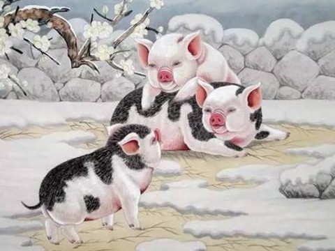 2021年1947年的猪人多大了