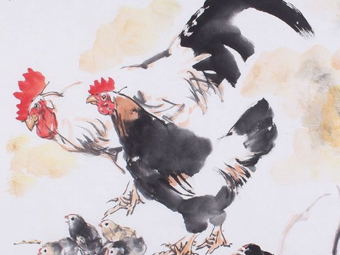 2021年1969年鸡的幸运色是什么