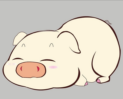 属猪人出生时的命运如何