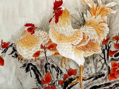 1993年的鸡男2021年有多大