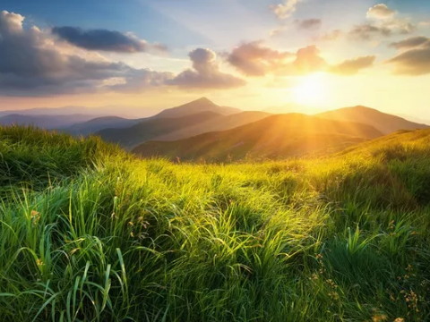 男女婚姻好吗？