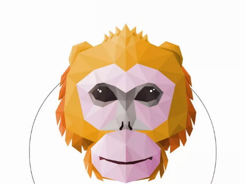 猴子丑的时候生的男孩命运好吗