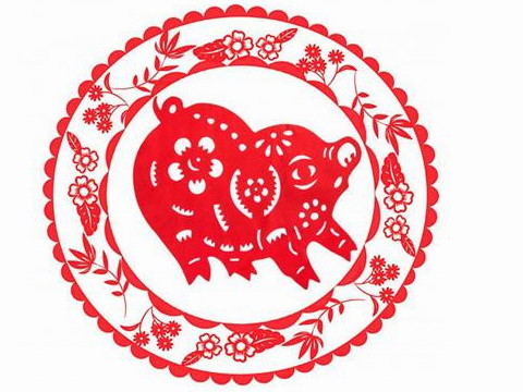 1995年出生的五要素是什么