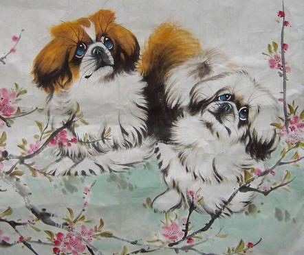 十二生肖狗的最佳伴侣