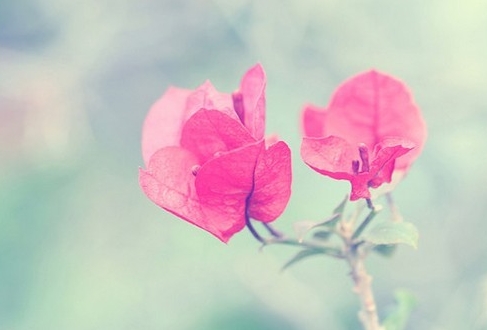 姓名中包含的财富信息