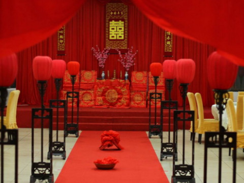 母龙配公马怎么样?是龙女和公马吗