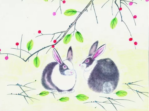 阴历哪个月母兔生得不好