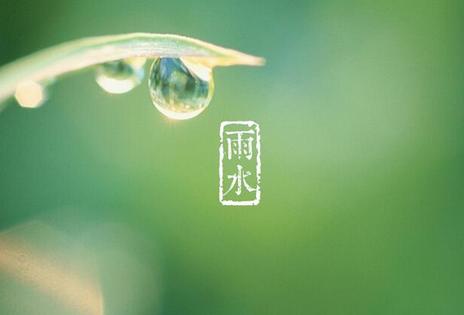 雨水节气知识
