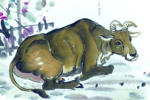 女人最悲惨的生肖