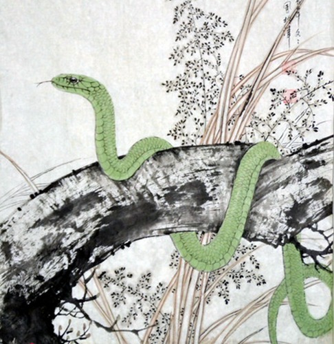 生肖蛇最佳婚配