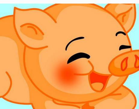 母猪的最佳搭配是什么