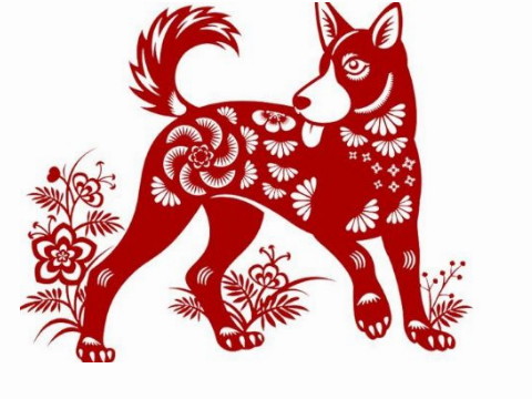 1994年属狗人的性格 94年属狗人几月出生命最好