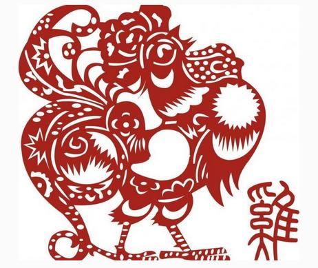 什么属最适合养鸡