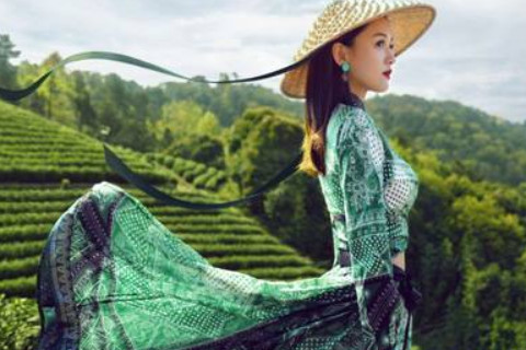 马和鸡之间的婚姻是什么