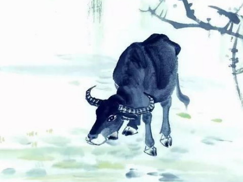 2021年和牛离婚是禁忌吗