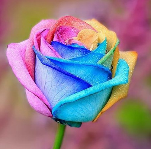 有寓意的QQ群名