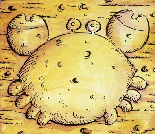 巨蟹男的爱情观