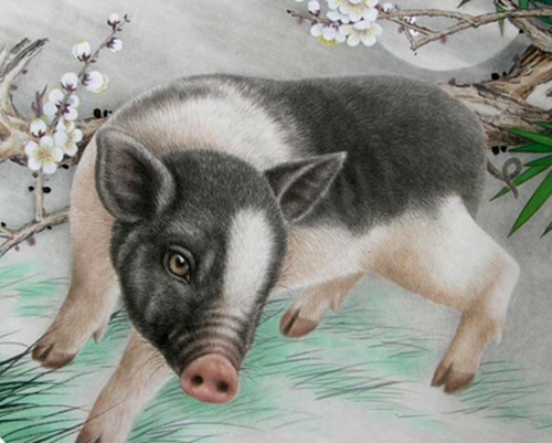 生肖猪最佳情感伴侣