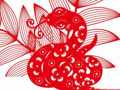 1989年,他是一个蛇人。2021年有多大