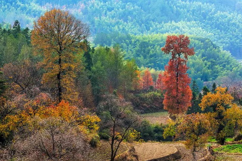 有商业意识的八个字